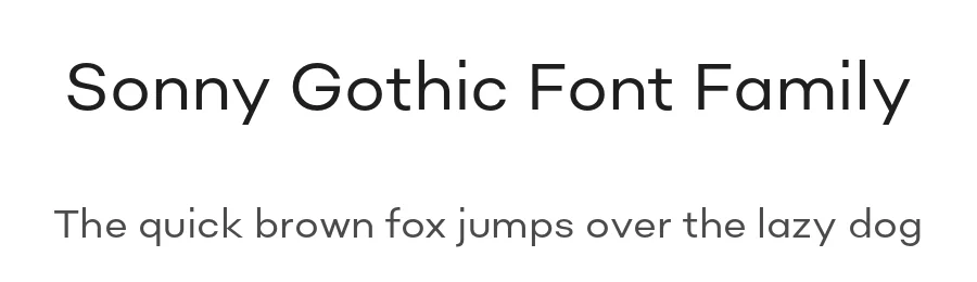 Sonny Gothic Font Family by W Type Foundry — Sans Serif Font