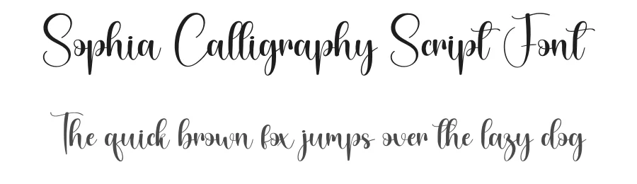 Sophia Calligraphy Script Font by creativeletter — Script Handwritten Font