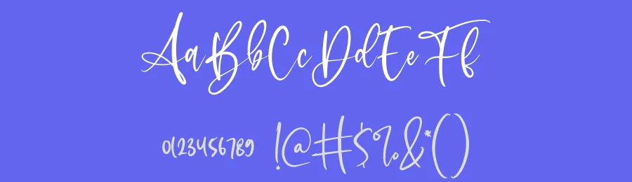 Sophitta Script Font by letterenastudios — Script Handwritten Font — thumbnail 3