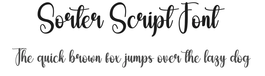 Sorter Script Font by andikastudio — Script Handwritten Font