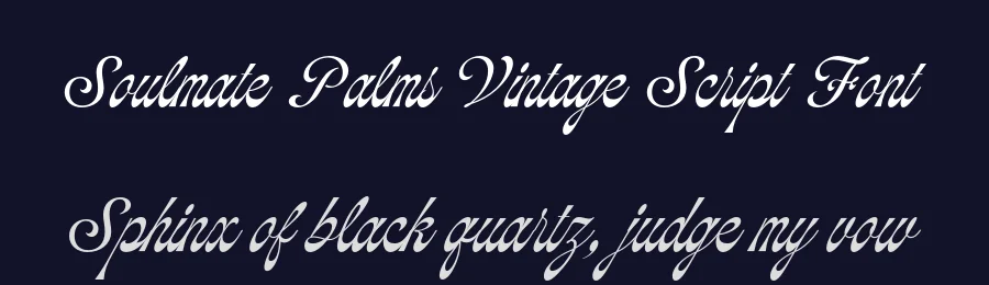 Soulmate Palms Vintage Script Font by Jolicia Type — Decorative Font — thumbnail 2