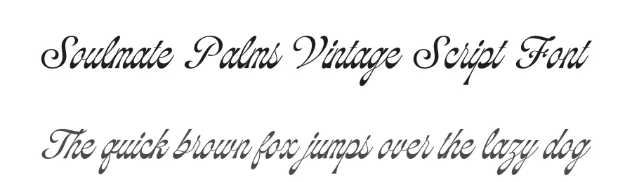 Soulmate Palms Vintage Script Font by Jolicia Type — Decorative Font
