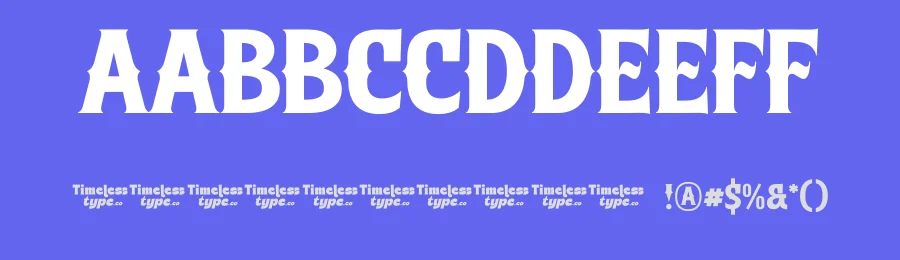 Southern Baseball Font by timelesstype.co — Serif Font — thumbnail 3