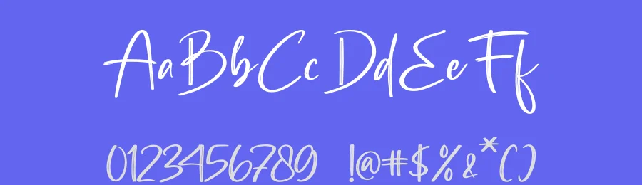 Southery Brush Font by stylishtype.co — Script Handwritten Font — thumbnail 3