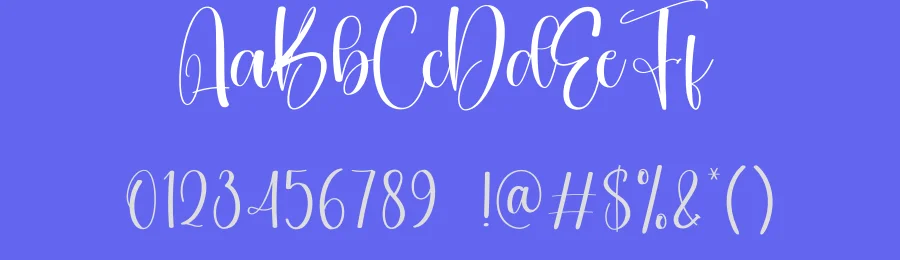 Southine Calligraphy Script Font by creativeletter — Script Handwritten Font — thumbnail 3