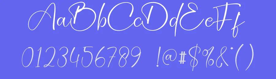 Southine Calligraphy Script Font by creativeletter — Script Handwritten Font — thumbnail 3