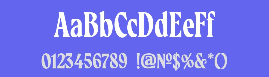 Southport Serif Font by Daniil Toropov — Serif Font — thumbnail 3
