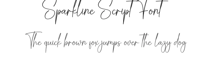 Sparkline Script Font by creativeletter — Script Handwritten Font