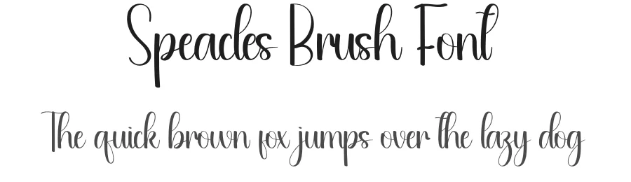 Speacles Brush Font by andikastudio — Script Handwritten Font