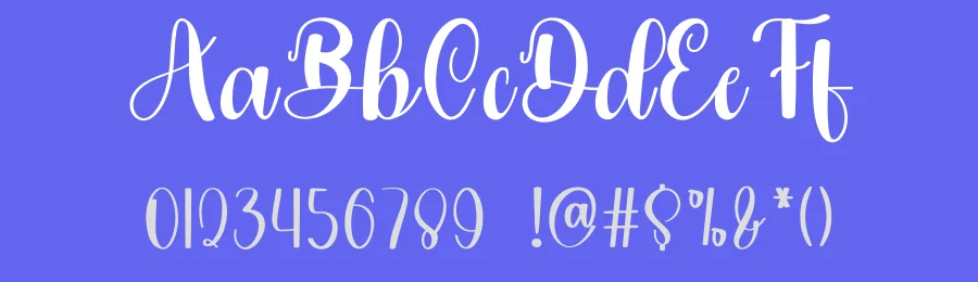 Special December Script Font by freshtypeink — Script Handwritten Font — thumbnail 3