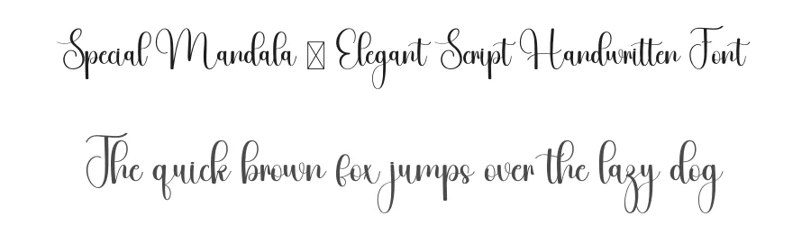 Special Mandala – Elegant Script Handwritten Font by freshtypeink — Script Handwritten Font