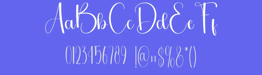 Special Minimalist Style Script Font by freshtypeink — Script Handwritten Font — thumbnail 3