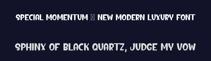 Special Momentum – New Modern Luxury Font by freshtypeink — Display Font — thumbnail 2