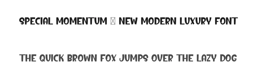 Special Momentum – New Modern Luxury Font by freshtypeink — Display Font