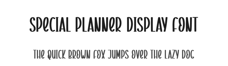 Special Planner Display Font by creativeletter — Display Font