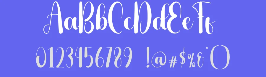 Speedy Script Font by andikastudio — Script Handwritten Font — thumbnail 3