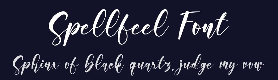 Spellfeel Font by qwrtype — Script Handwritten Font — thumbnail 2