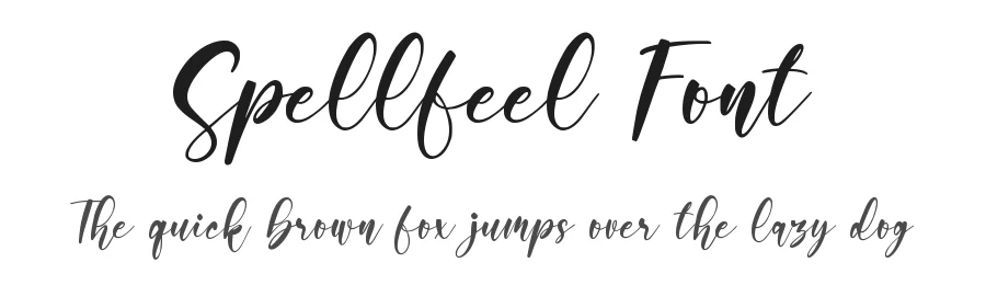 Spellfeel Font by qwrtype — Script Handwritten Font