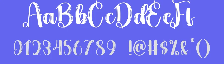 Spicy Chicken Brush Font by andikastudio — Script Handwritten Font — thumbnail 3