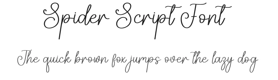 Spider Script Font by creativeletter — Script Handwritten Font
