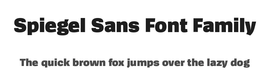 Spiegel Sans Font Family by LucasFonts — Sans Serif Font
