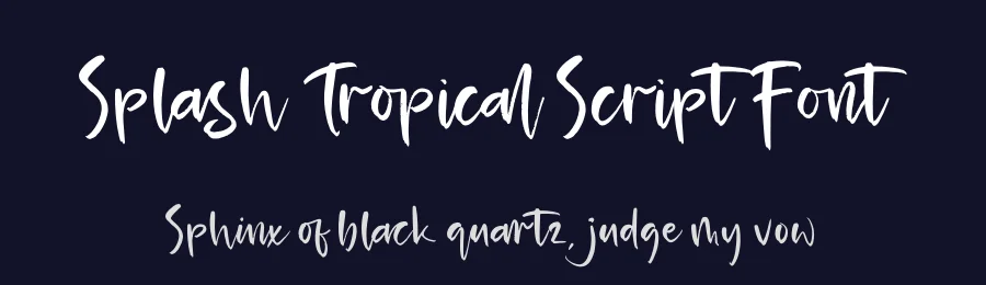 Splash Tropical Script Font by Operatype.Co — Script Handwritten Font — thumbnail 2