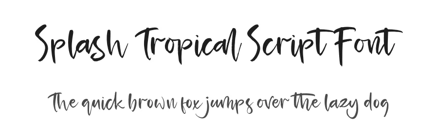 Splash Tropical Script Font by Operatype.Co — Script Handwritten Font