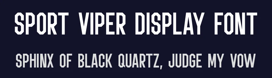 Sport Viper Display Font by AbasCreative — Display Font — thumbnail 2