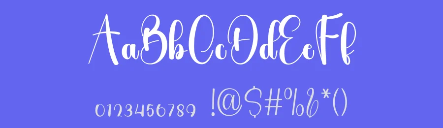 Spotlight Script Font by freshtypeink — Script Handwritten Font — thumbnail 3