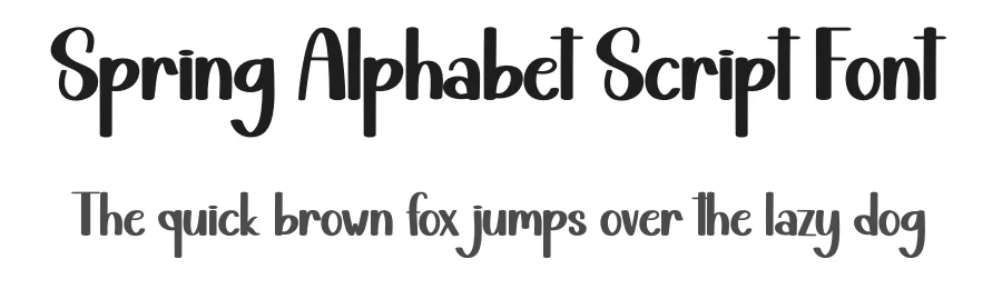 Spring Alphabet Script Font by andikastudio — Display Font