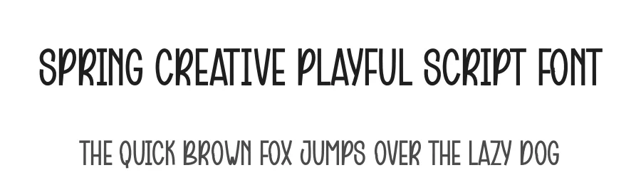 Spring Creative Playful Script Font by creativeletter — Script Handwritten Font