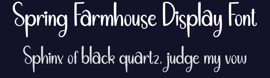 Spring Farmhouse Display Font by andikastudio — Script Handwritten Font — thumbnail 2