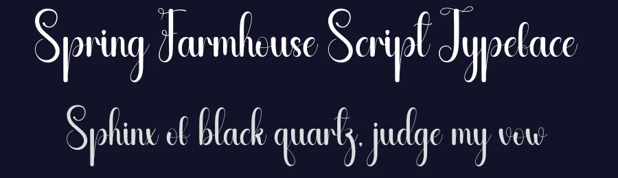 Spring Farmhouse Script Typeface by andikastudio — Script Handwritten Font — thumbnail 2