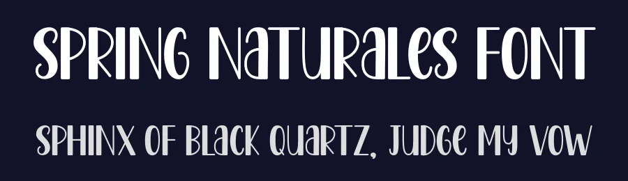 Spring Naturales Font by DN Creative — Script Handwritten Font — thumbnail 2