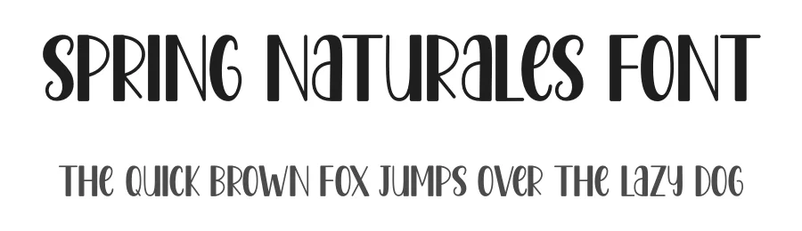 Spring Naturales Font by DN Creative — Script Handwritten Font