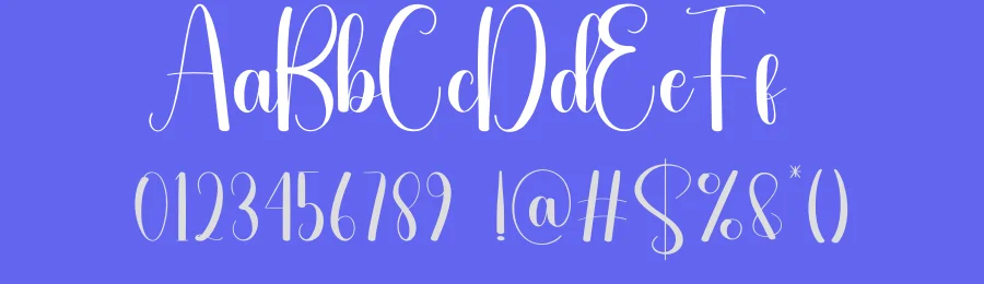 Spring Night Script Font by andikastudio — Script Handwritten Font — thumbnail 3