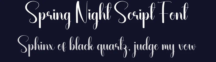 Spring Night Script Font by andikastudio — Script Handwritten Font — thumbnail 2