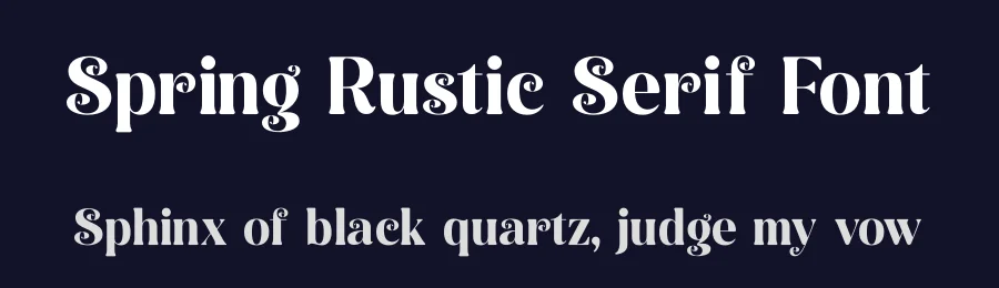 Spring Rustic Serif Font by timelesstype.co — Display Font — thumbnail 2