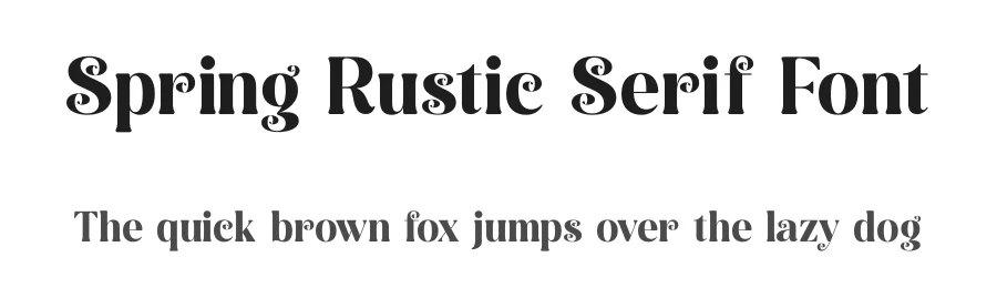 Spring Rustic Serif Font by timelesstype.co — Display Font