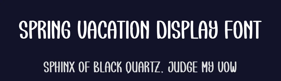Spring Vacation Display Font by creativeletter — Script Handwritten Font — thumbnail 2