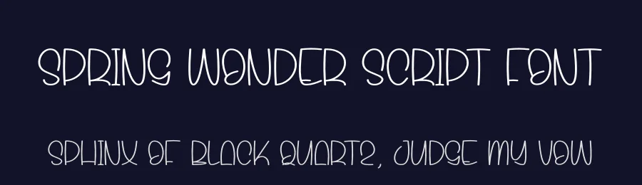 Spring Wonder Script Font by andikastudio — Display Font — thumbnail 2