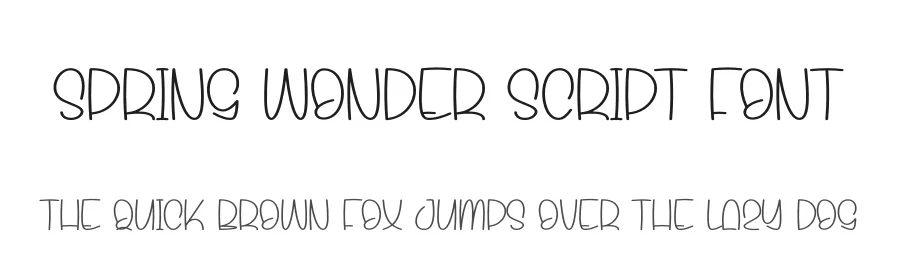 Spring Wonder Script Font by andikastudio — Display Font