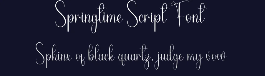 Springtime Script Font by andikastudio — Script Handwritten Font — thumbnail 2