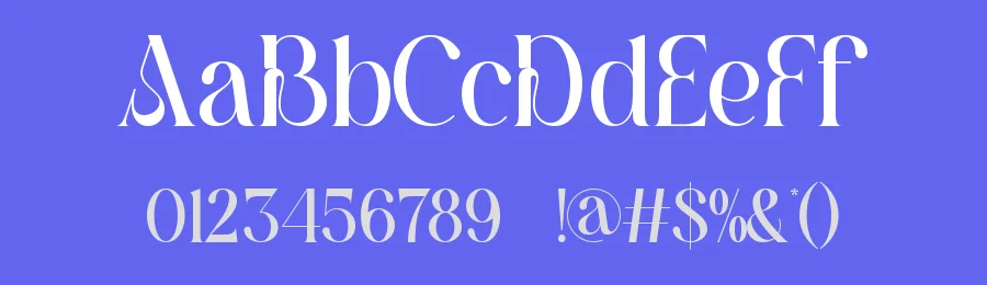 Sraken || Modern Elegant Serif Font by ErmediaStudio — Display Font — thumbnail 3