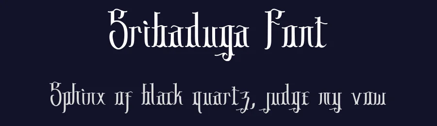 Sribaduga Font by Typeface — Display Font — thumbnail 2