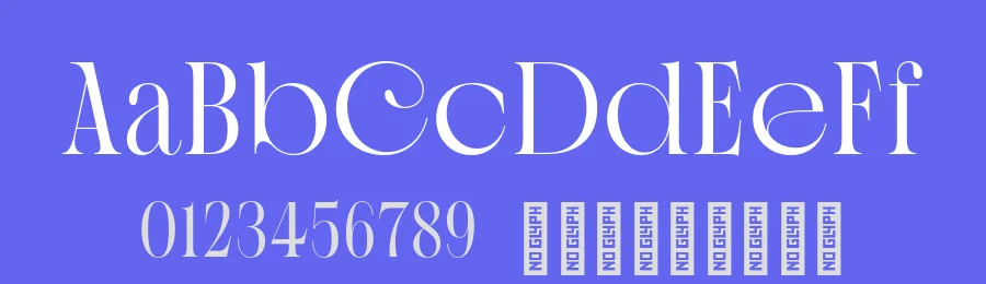 Ssonder Font by Type of Feeling — Serif Font — thumbnail 3