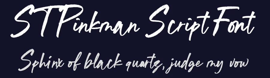 ST Pinkman Script Font by Studio Type it Easy — Script Handwritten Font — thumbnail 2