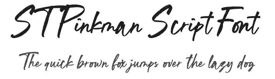 ST Pinkman Script Font by Studio Type it Easy — Script Handwritten Font
