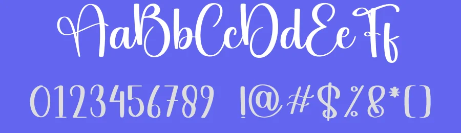 Stadium Script Font by andikastudio — Script Handwritten Font — thumbnail 3