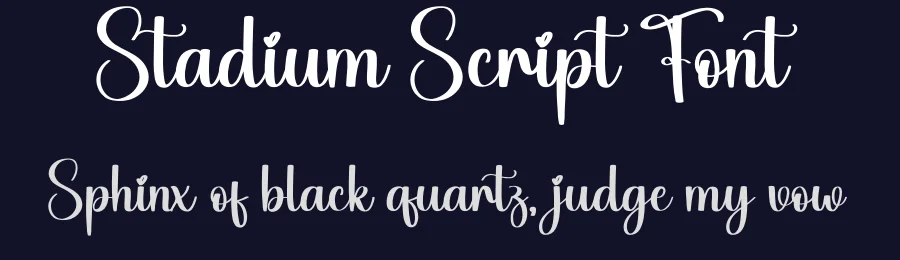 Stadium Script Font by andikastudio — Script Handwritten Font — thumbnail 2